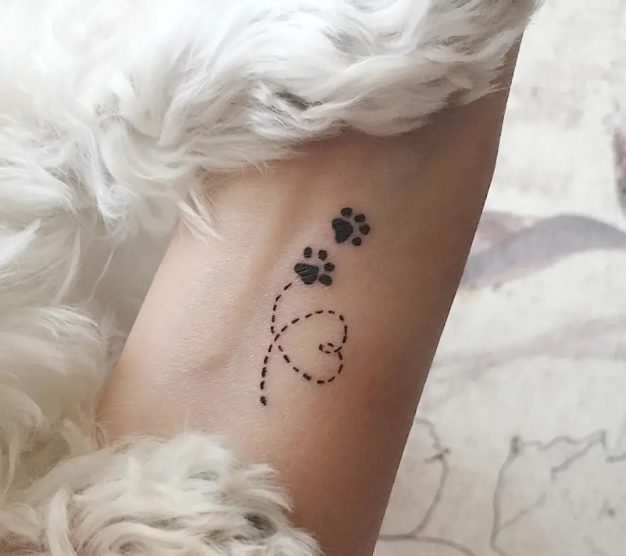 The 80+ Cutest Paw Print Tattoos Ever - The Paws