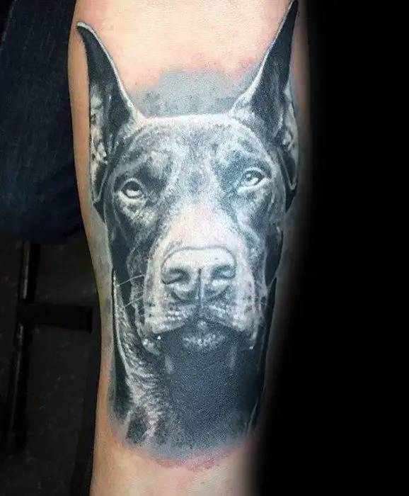 3D black and white face of a Doberman tattoo on the shoulder