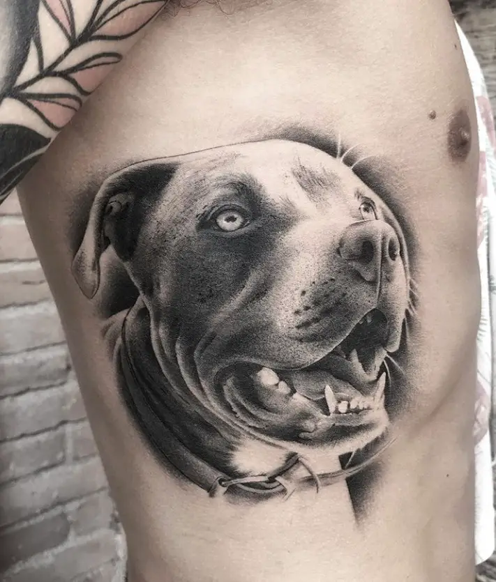 3D Pit Bull Dog tattoo on the side of the body