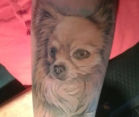 black and gray face of a Pomeranian Tattoo on the forearm