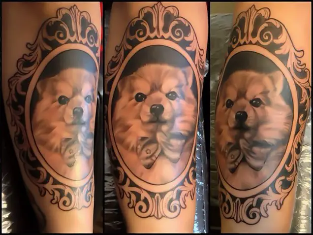 black and gray Pomeranian wearing a bow tie in a vintage frame tattoo