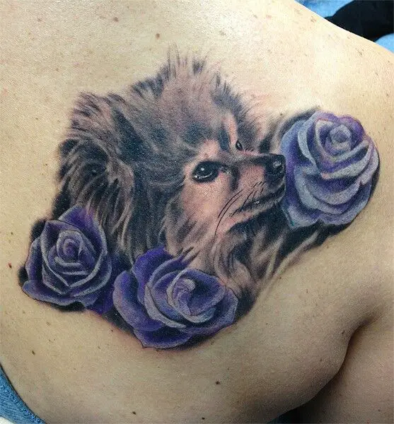 3D sideview face of a Pomeranian with blue roses tattoo on the back