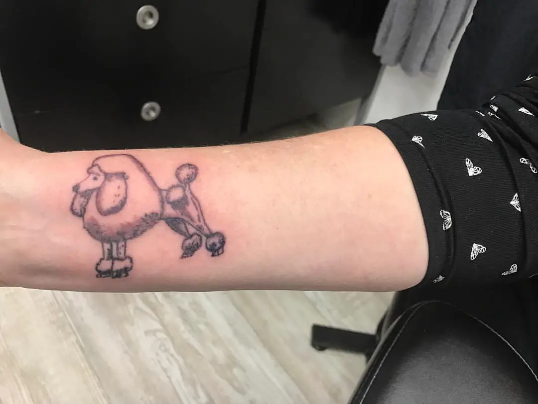 outline of a standing sideways poodle tattoo on the forearm