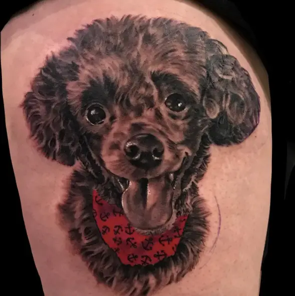 A smiling black poodle wearing a red scarf tattoo on the thigh
