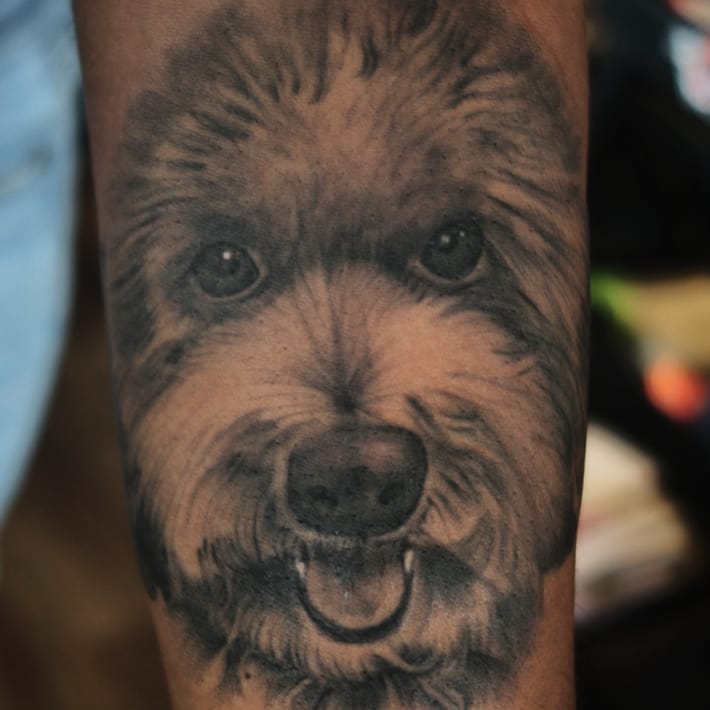 A black and gray face of a Poodle Dog Tattoo