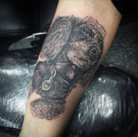 A realistic black Poodle tattoo on the forearm