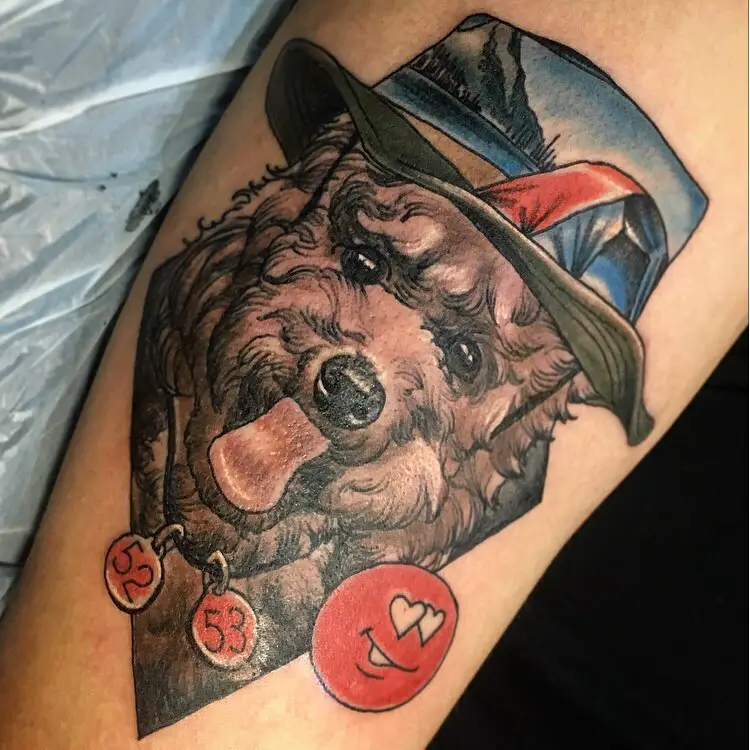 A brown poodle puppy wearing a hat with beach landscape tattoo