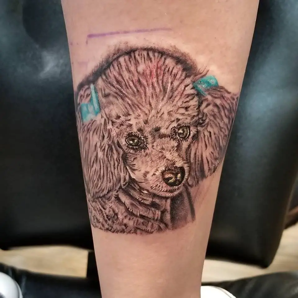 A black and gray 3D Poodle wearing blue ribbons tattoo on the leg
