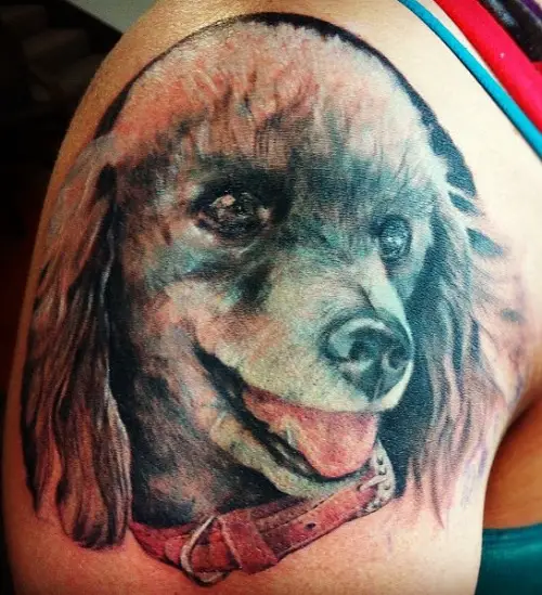 Realistic smiling face of a Poodle Dog Tattoo tattoo on the shoulder