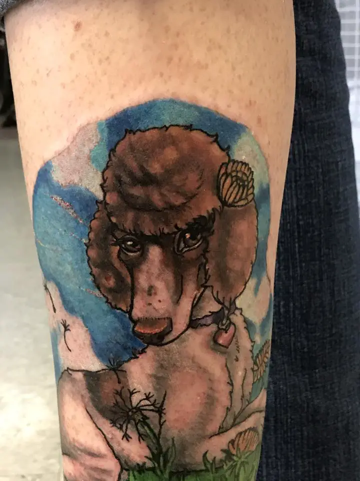 A brown Poodle lying in the grass and under the blue sky tattoo on the forearm