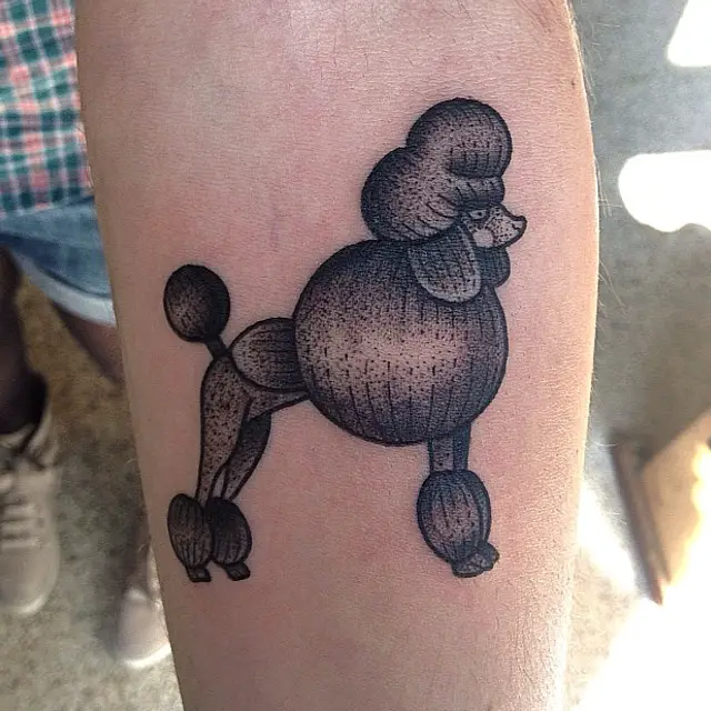 A black poodle tattoo on the forearm