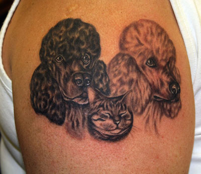 faces of a black and brown poodles and with a cat in between them tattoo on the shoulder