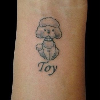 A gray poodle puppy with name - Toy tattoo on the wrist