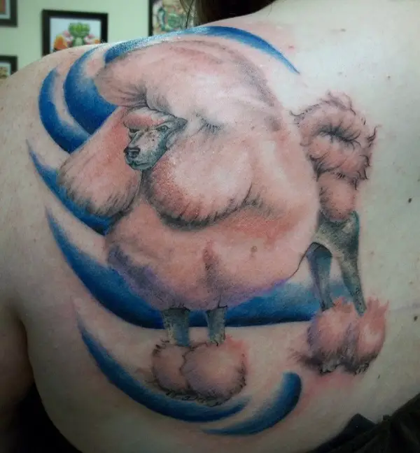 A fluffy brown poodle with waves of blue background tattoo on the back