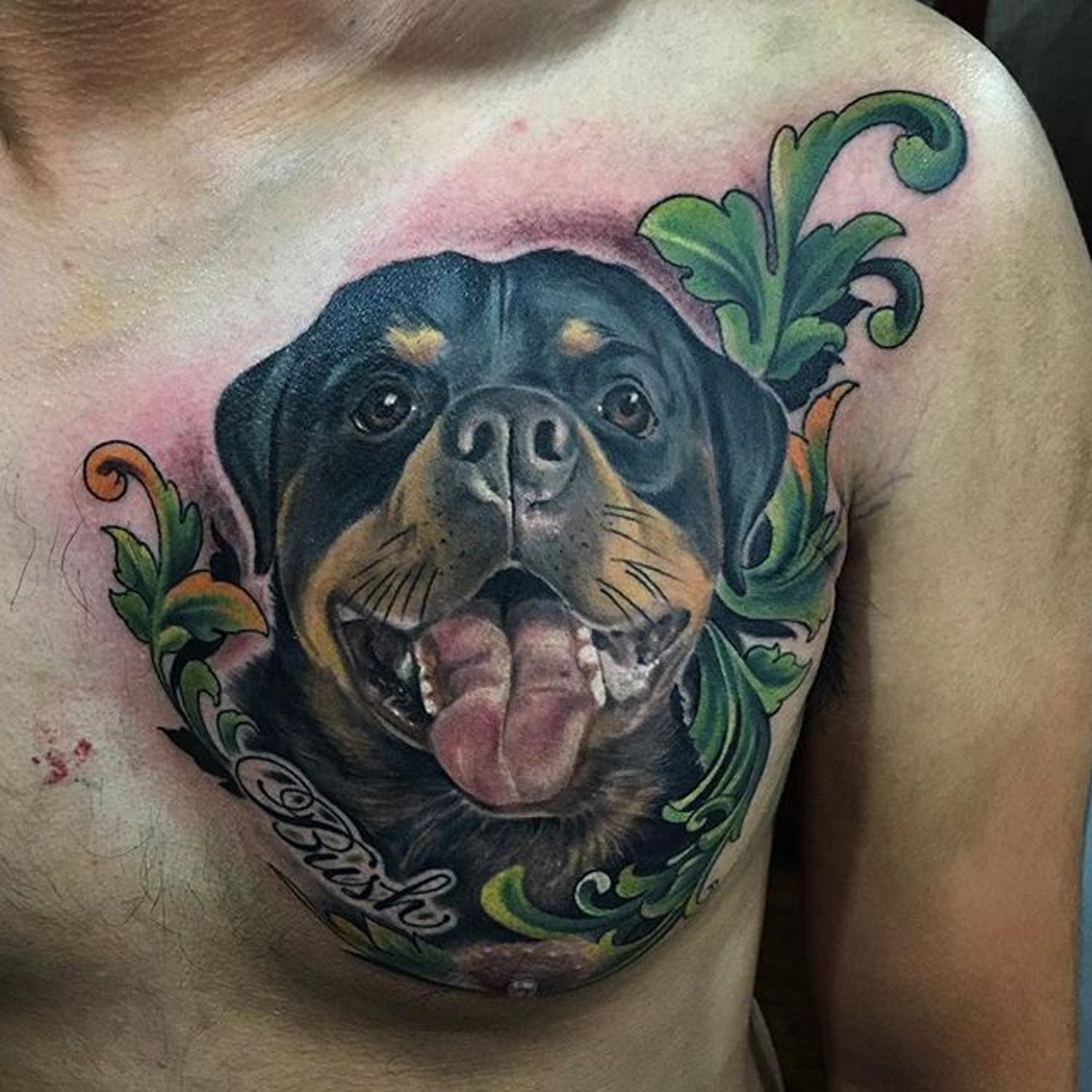 happy Rottweiler with green leaf around Tattoo on the chest