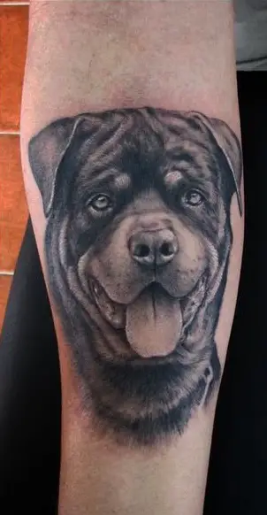 3D face of a black smiling Rottweiler Tattoo on the forearm