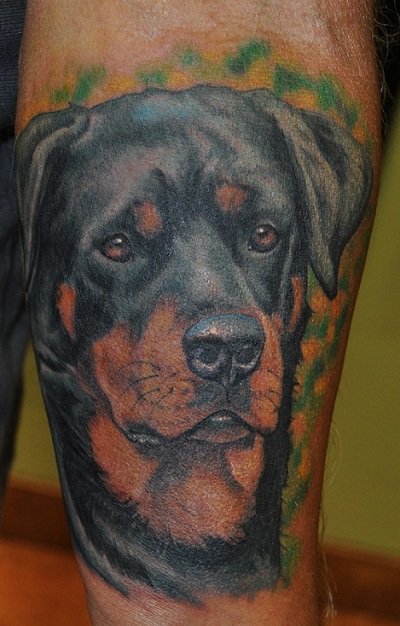 face of Rottweiler Tattoo on the thigh