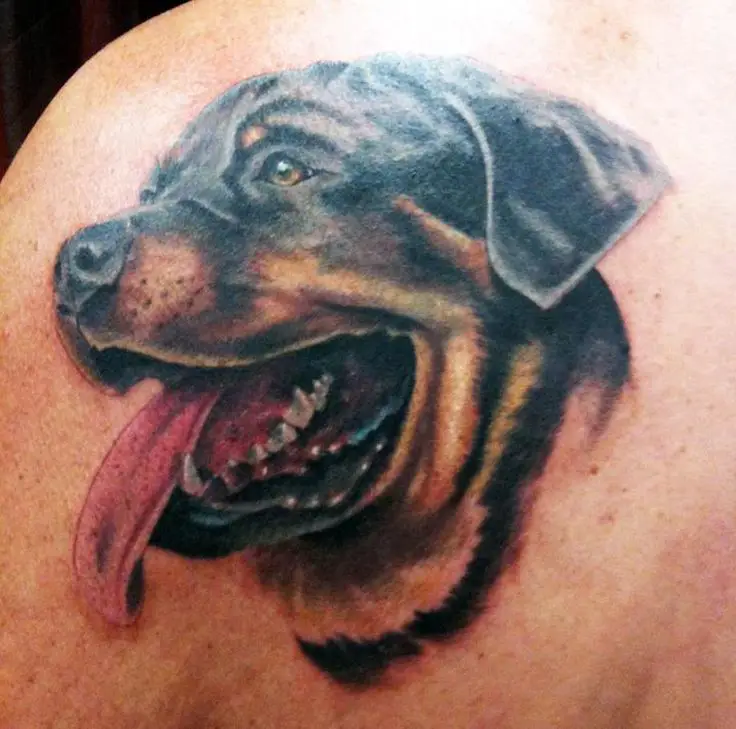 panting side view face of Rottweiler Tattoo on the back