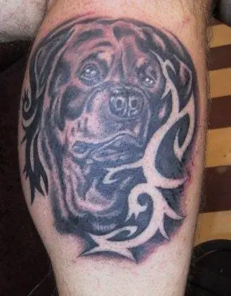 tribal style Rottweiler Tattoo on the leg