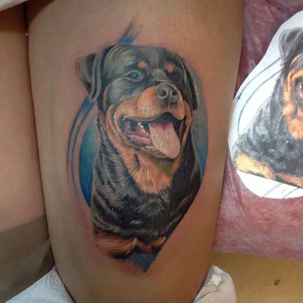 smiling Rottweiler with blue background Tattoo on the thigh