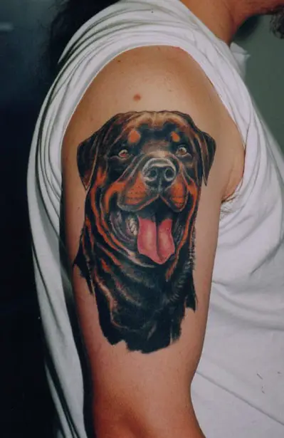 happy Rottweiler Tattoo on the shoulder
