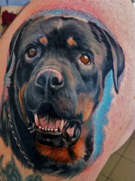 black and tan face of Rottweiler with its mouth open Tattoo