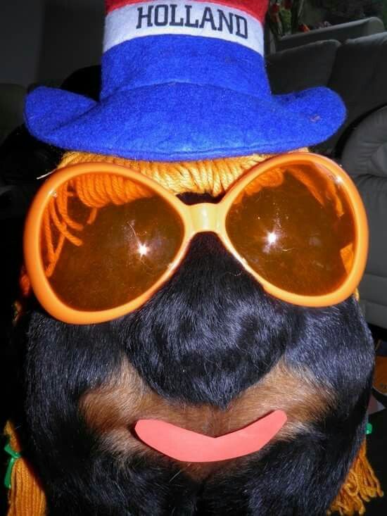 20+ Hilarious Rottweiler Dogs in Halloween Costumes