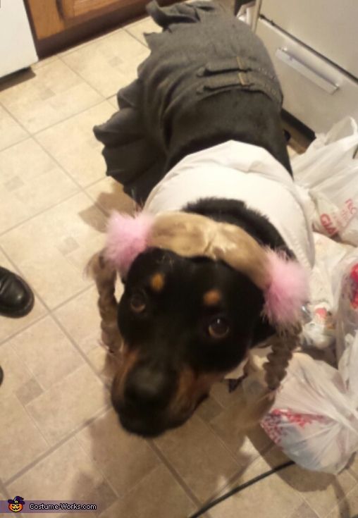 Rottweiler wearing britney spears costume while standing on the floor