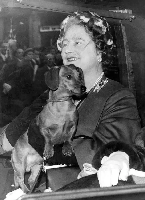 Queen Mother with a Dachshund in her lap