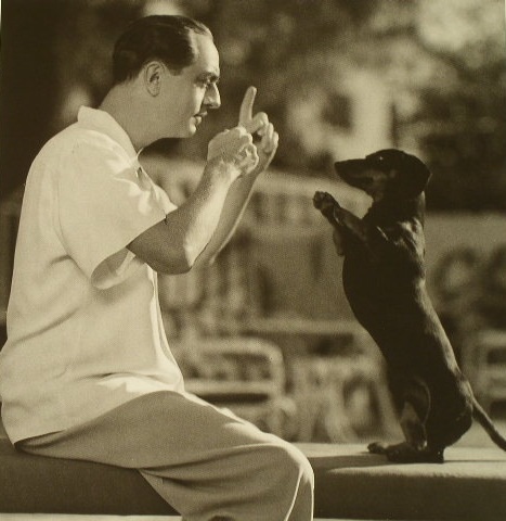 William Powell training its Dachshund to stand up and stay