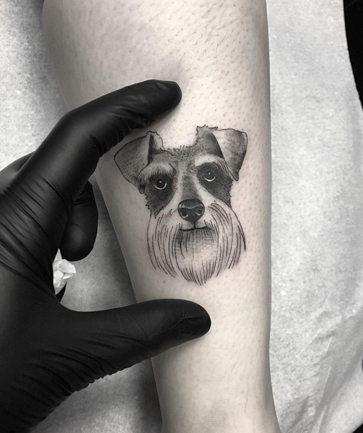 face of Schnauzer Dog tattoo on the forearm