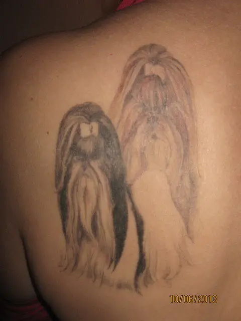 two Shih Tzus Tattoo on the back