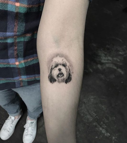 3D face of Shih Tzu Tattoo on forearm