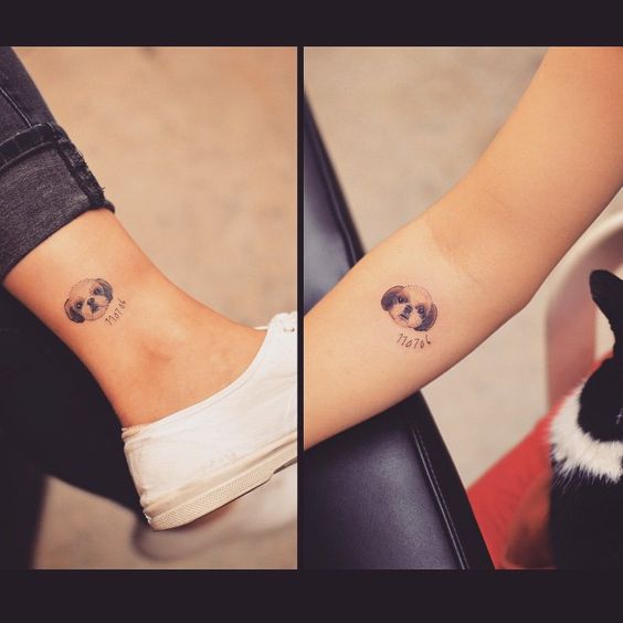 collage photo of the face of Shih Tzu Tattoo on ankle and forearm