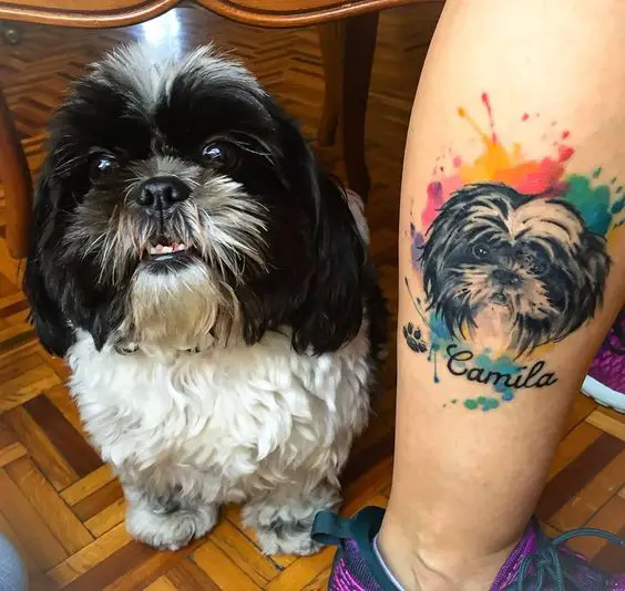 face of Shih Tzu with splash of watercolor background tattoo on leg