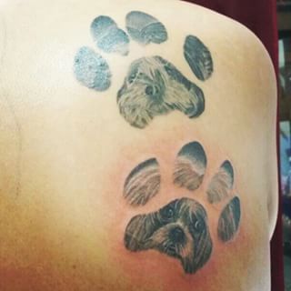 face of Shih Tzu in paw print Tattoo on the back