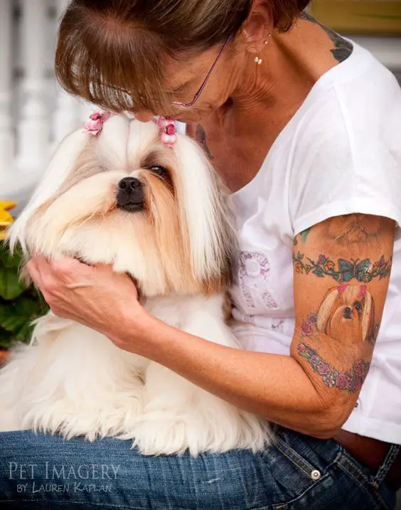 white small Shih Tzu Tattoo with butterfly and flowers tattoo on the sleeves