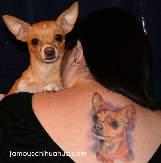 Chihuahua on the girls back while holding her Chihuahua dog