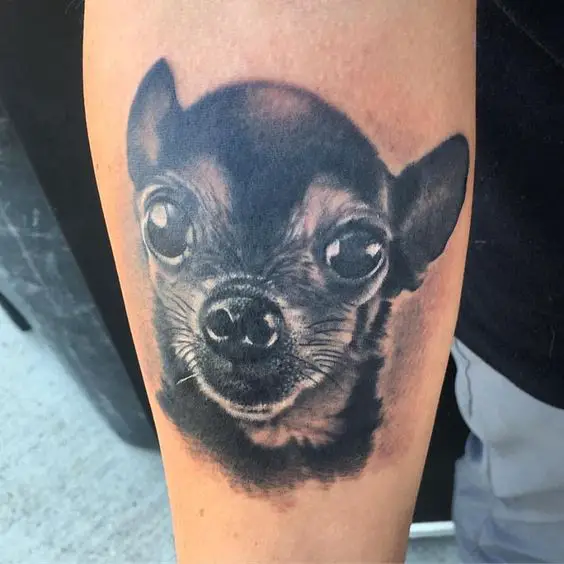 black Chihuahua tattoo on the forearm