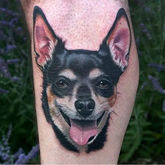 smiling black Chihuahua tattoo on the forearm