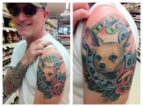 suspicious face Chihuahua with flowers and 