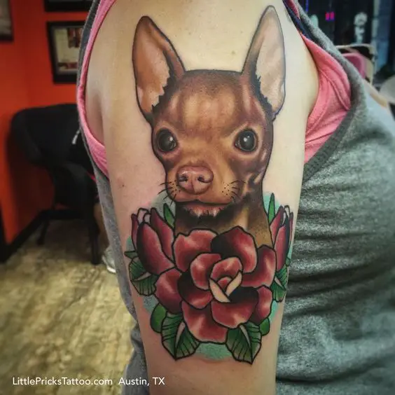 brown Chihuahua with flowers tattoo on the shoulder