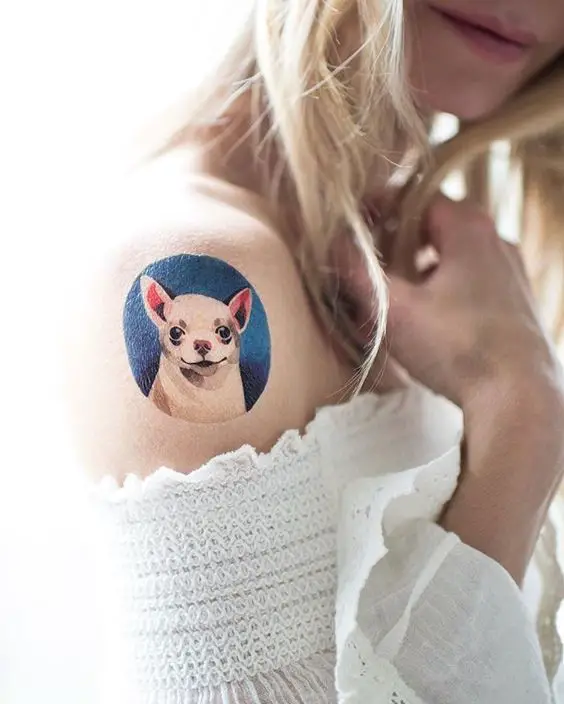 Chihuahua in blue circle tattoo on the shoulder
