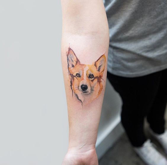 realistic corgi tattoo on the forearm