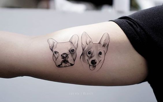 minimalist tattoo of the face of a corgi and french bullldog on the biceps