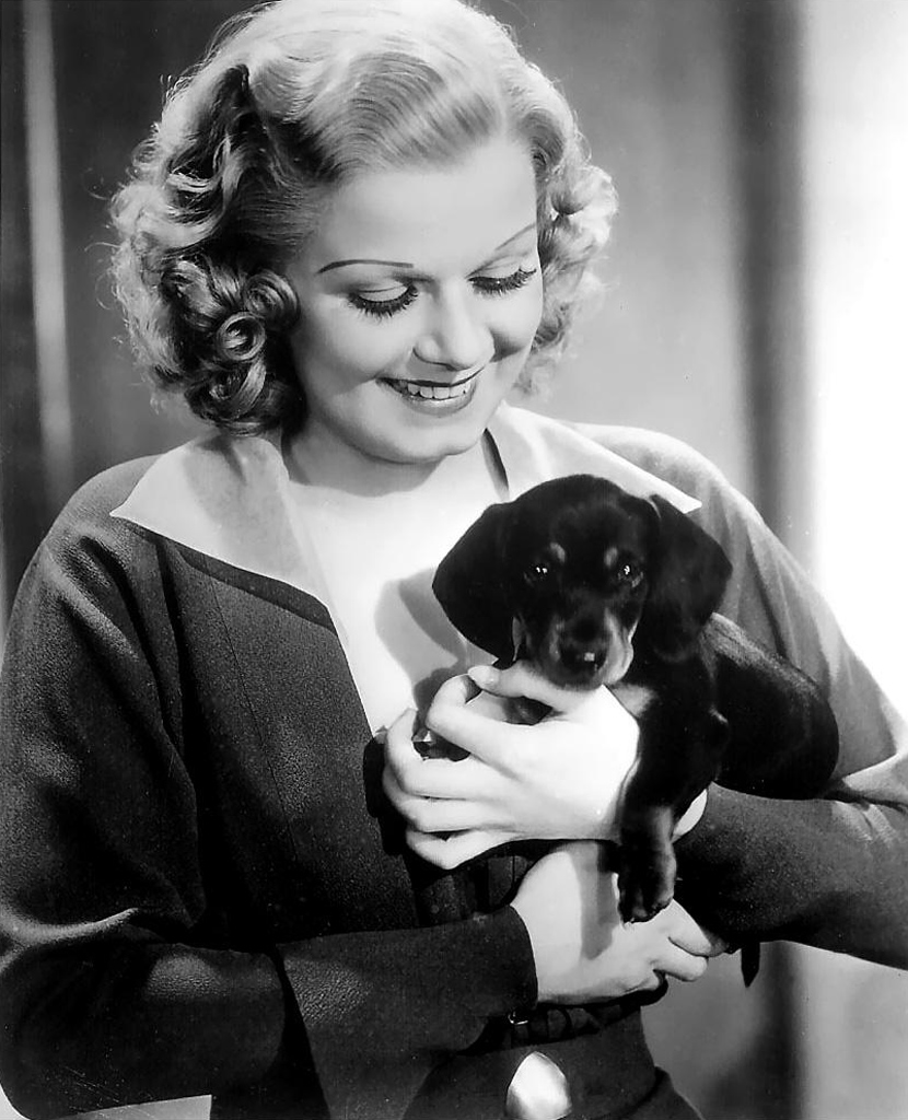 black and white photo of Jean Harlow holding her Dachshund in her arms