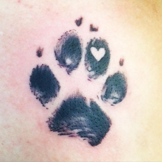 large 3D paw print