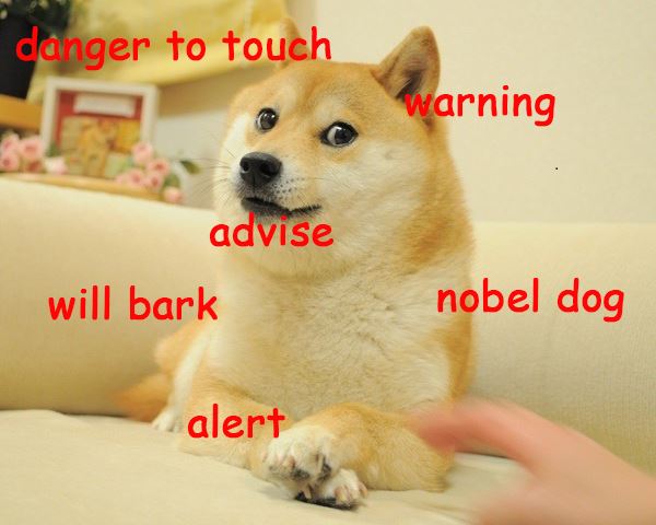 Shiba Inu lying down on the couch while the hand of a person is coming to the its crossed paws photo with thoughts 