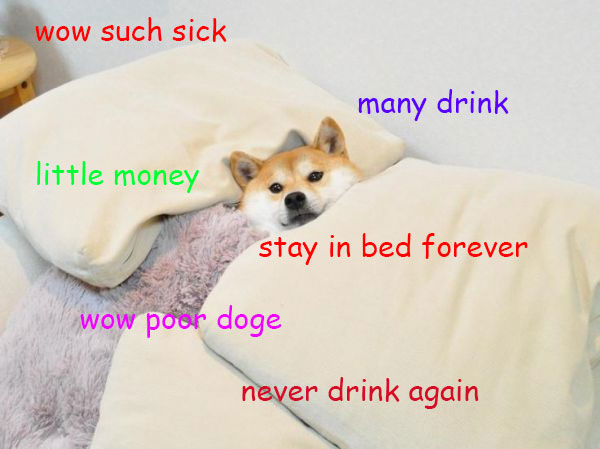 Shiba Inu snuggled up in bed photo with a thoughts 