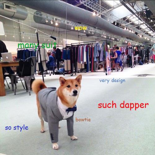 Shiba Inu at store wearing a suit with thoughts 